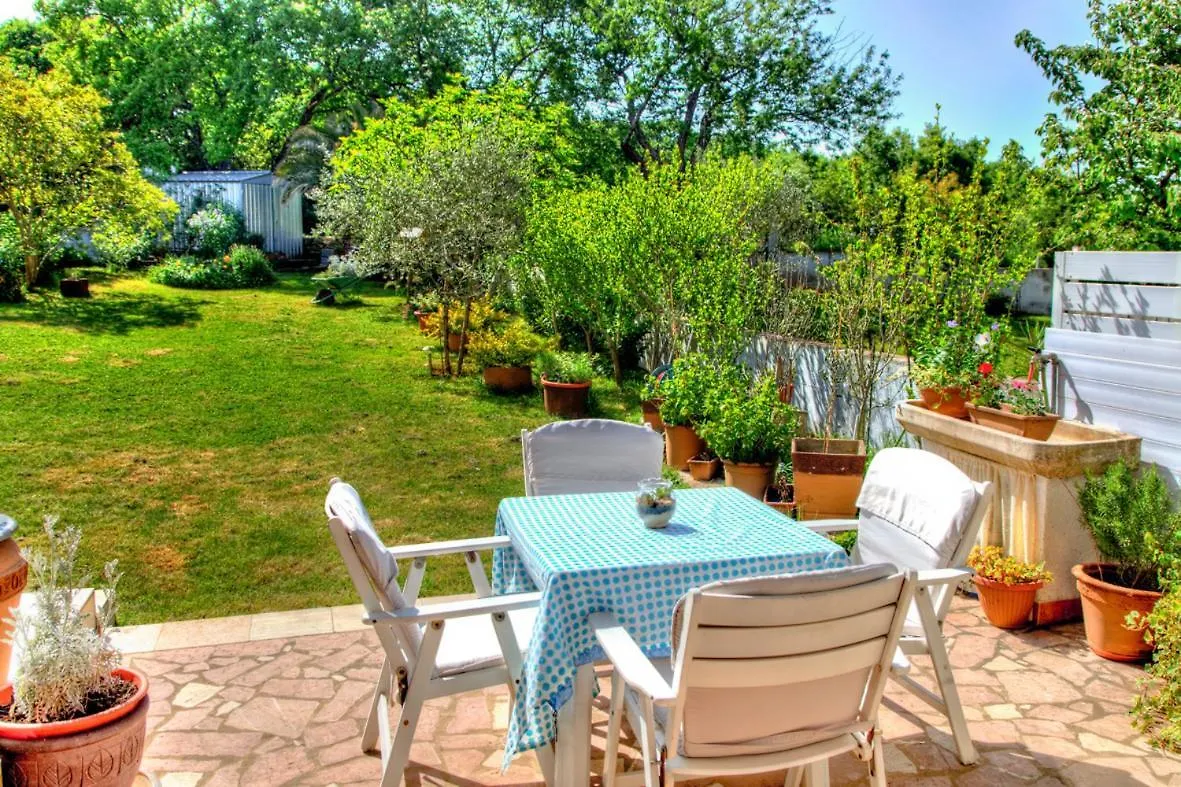 Aldo Garden View
